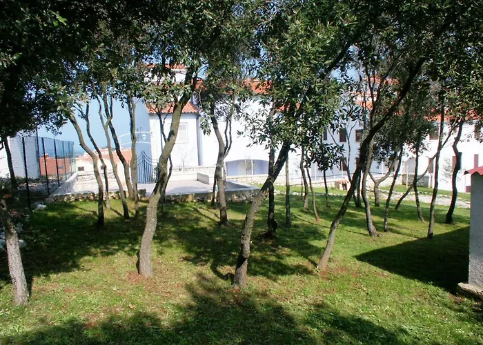Apartments And Rooms With Wifi Vrsar, Porec - 3007